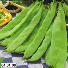 FAGIOLO MARCONI NANO SEME NERO GR.500